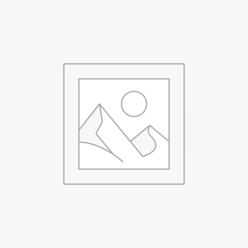Uncategorised