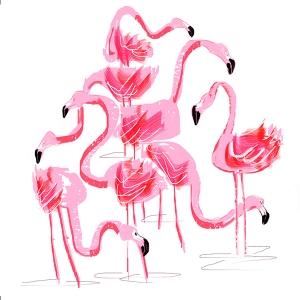 In The Pink
